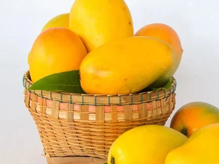 Keshar Mango