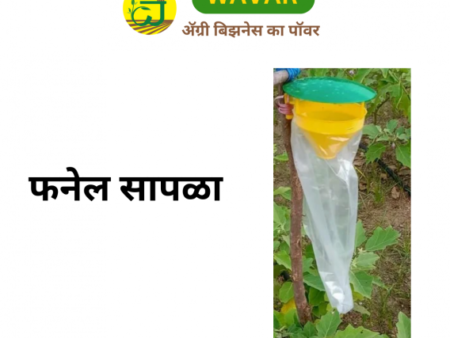 funnel trap