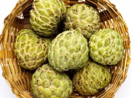 custard-apple