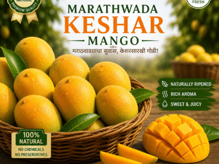 marathwada-mango